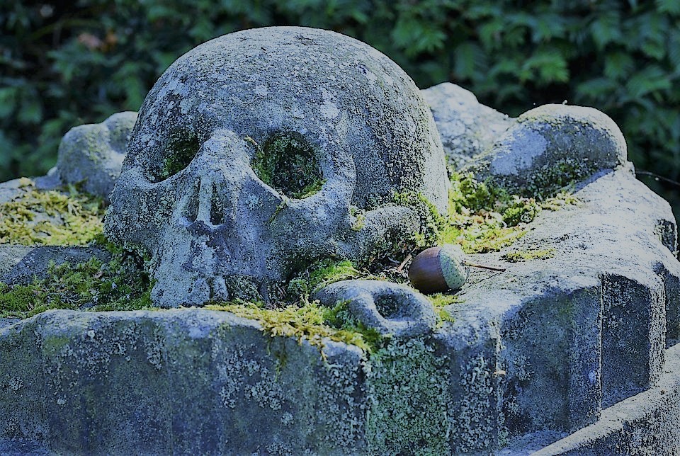 Sobrevivir a una vida de mentiras