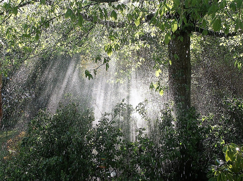 A zancadas nos comemos la&nbsp;vida