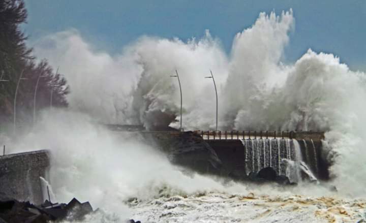 Caminamos sobre la&nbsp;tierra